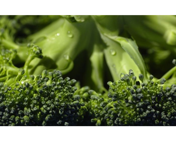 Chou brocoli bio Les Paniers Davoine Provence