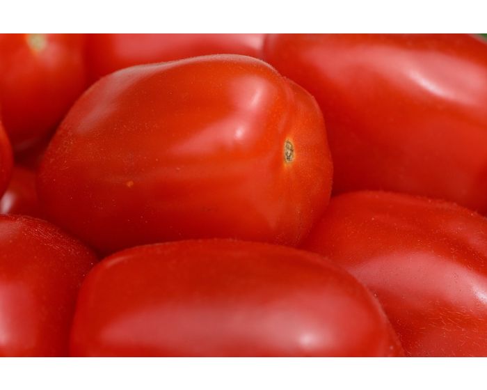 Tomates Roma Provence Les Paniers Davoine